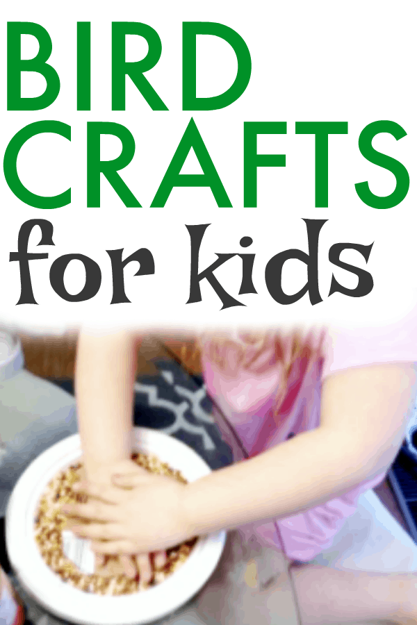 Homemade Bird Feeder Recipe For Kids DIY Bird Feed Craft for