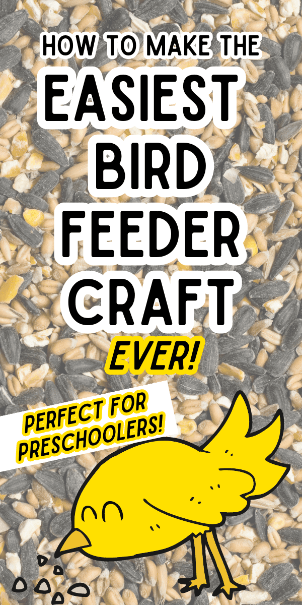 Easy DIY Bird Feeders For Preschool