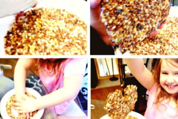 Homemade Bird Feeder Recipe Craft For Kids Activities (bird seed bird feeder craft step by step)