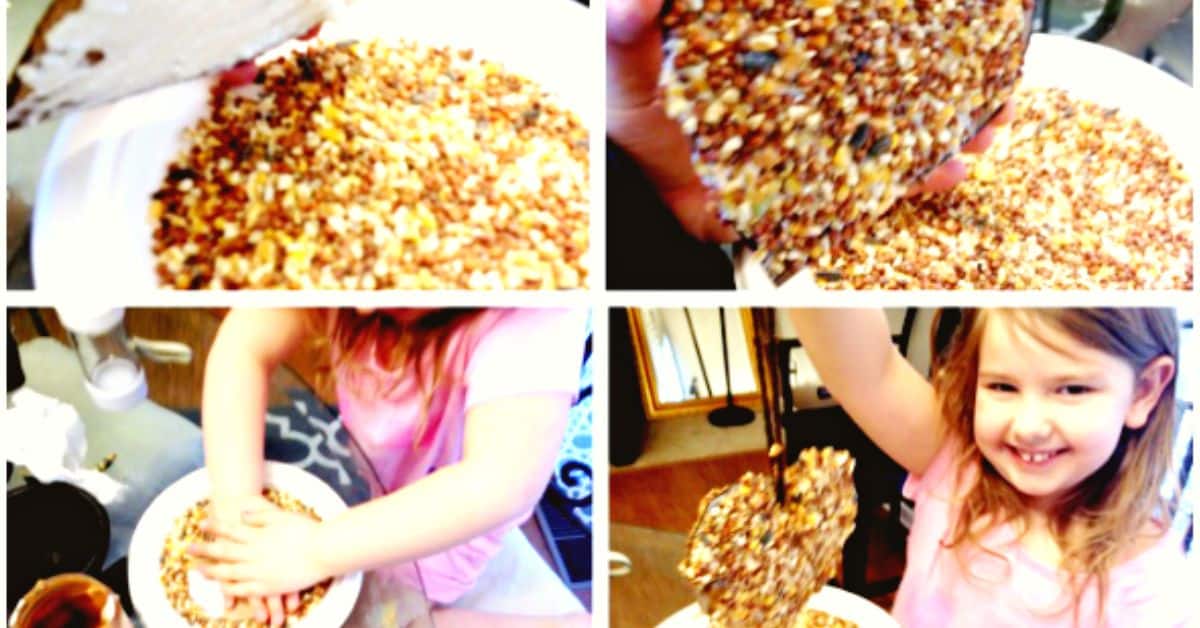 Homemade Bird Feeder Recipe Craft For Kids Activities (bird seed bird feeder craft step by step)