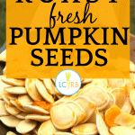 4 Yummy Roasted Pumpkin Seeds Recipe Ideas
