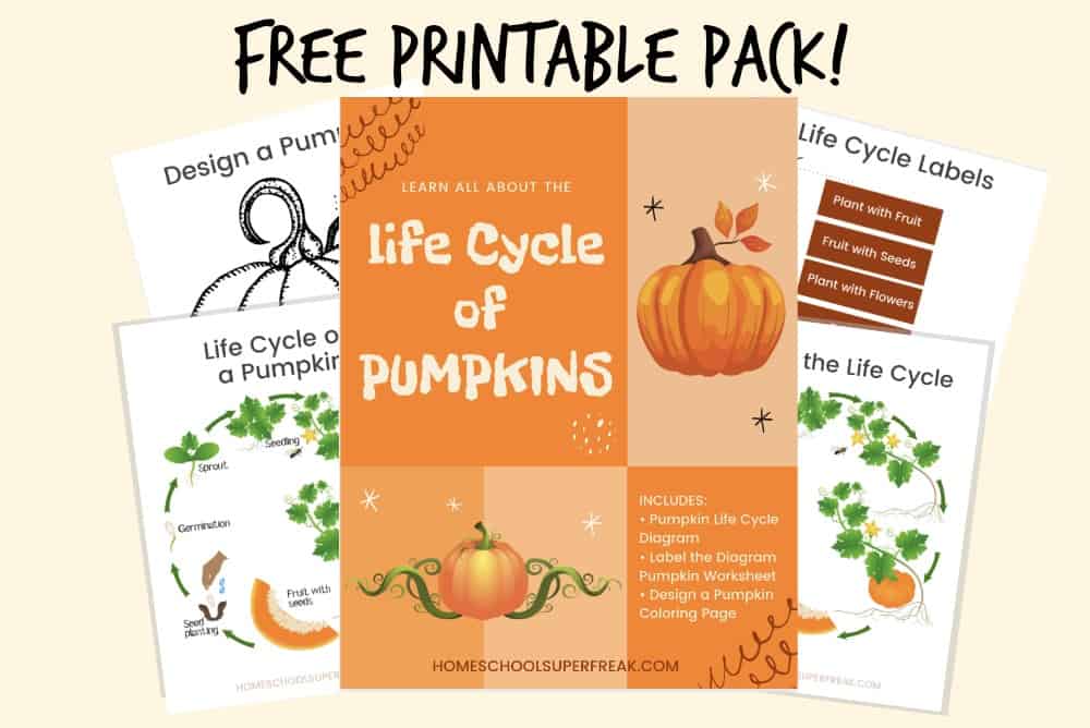 FREE Pumpkin Life Cycle Worksheet Printable Pack