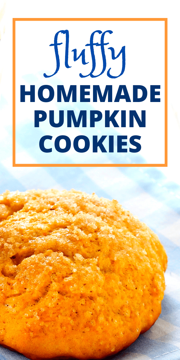 HOMEMADE PUMPKIN COOKIES EASY