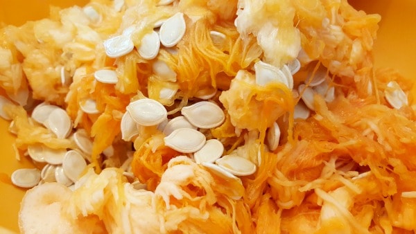 How To Prepare Pumpkin Seeds For Eating pumpkin seeds and pumpkin guts in a bowl