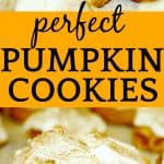 Perfect Pumpkin Cookies