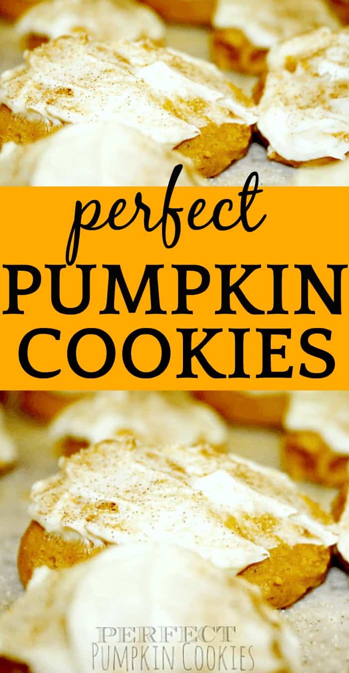 Perfect Pumpkin Cookies