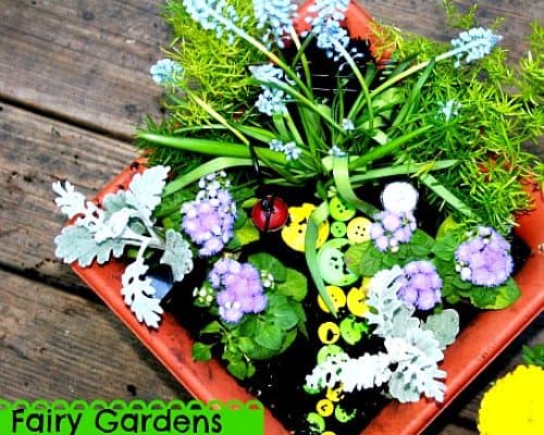 Fairy Container Garden Instructions for Kids fairy garden from above