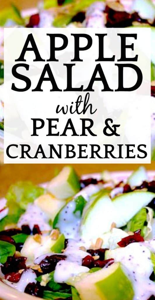 Easy Apple Salad with Pear and Cranberry