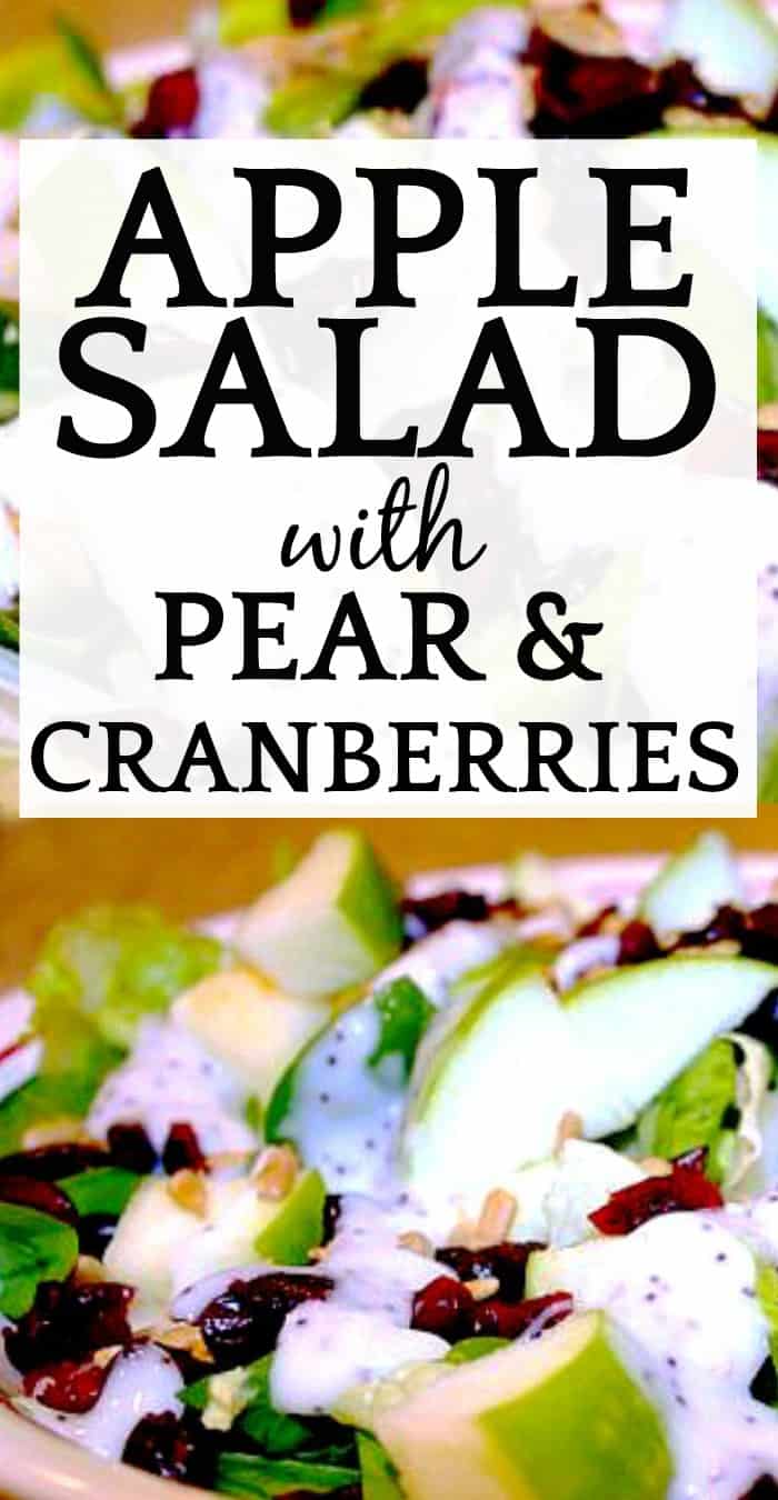 Easy Apple Salad with Pear and Cranberry (Great Fall Party Salad) in a bowl with text over it