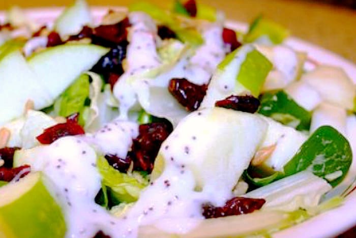 Easy Apple Salad with Pear and Cranberry