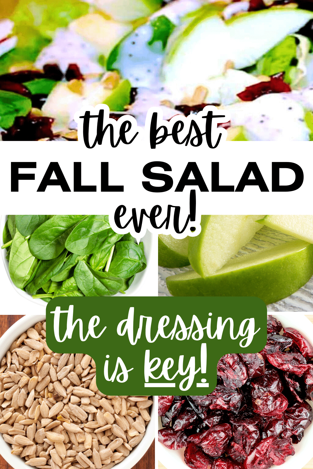 Fall Apple Cranberry Nut Salad (BEST SALADS RECIPES) text over cranberry apple salad and salad ingredients