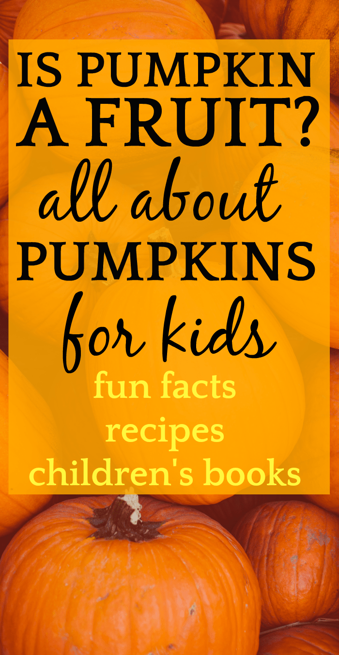 Is Pumpkin A Fruit? Learning About Pumpkins and Pumpkin Recipes for Kids