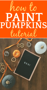 Pumpkin Design Ideas: No Carve Pumpkins Cats and Painting Pumpkins