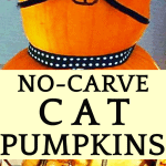 Pumpkin Ideas and Super Easy No Carve Cat Pumpkins