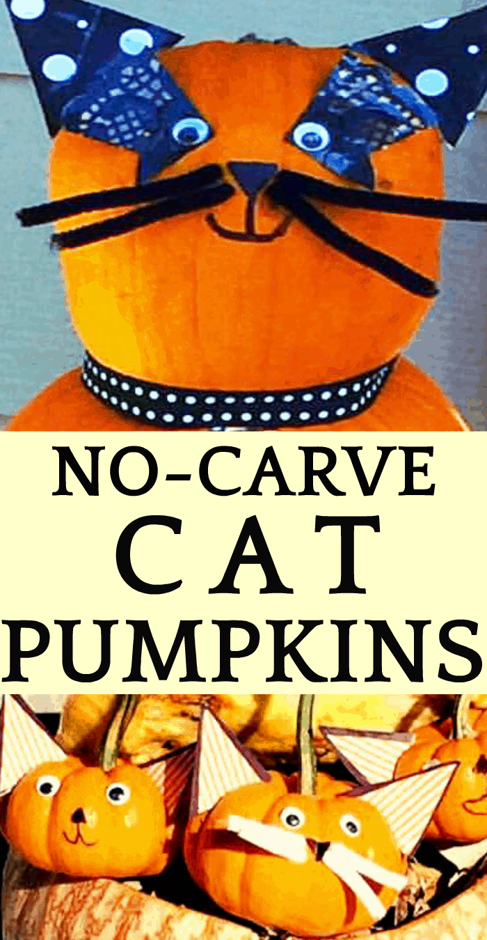 Pumpkin Ideas and Super Easy No Carve Cat Pumpkins PUMPKINS DECORATED LIKE KITTENS AND MAMA CAT