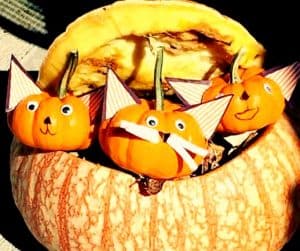 Pumpkin Craft Kittens