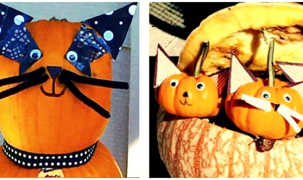Pumpkin Ideas and Super Easy No-Carve Cat Pumpkins