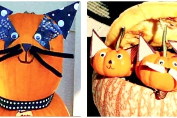 pumpkin design ideas with decorated no carve pumpkin cats
