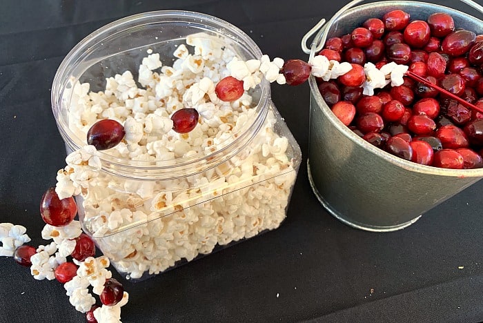 Popcorn & Cranberry String Lights Garland