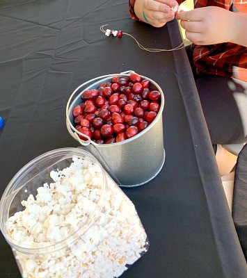 How to Make a DIY Popcorn and Cranberry Garland (You can even string popcorn balls this way!) fresh cranberries and popped popcorn