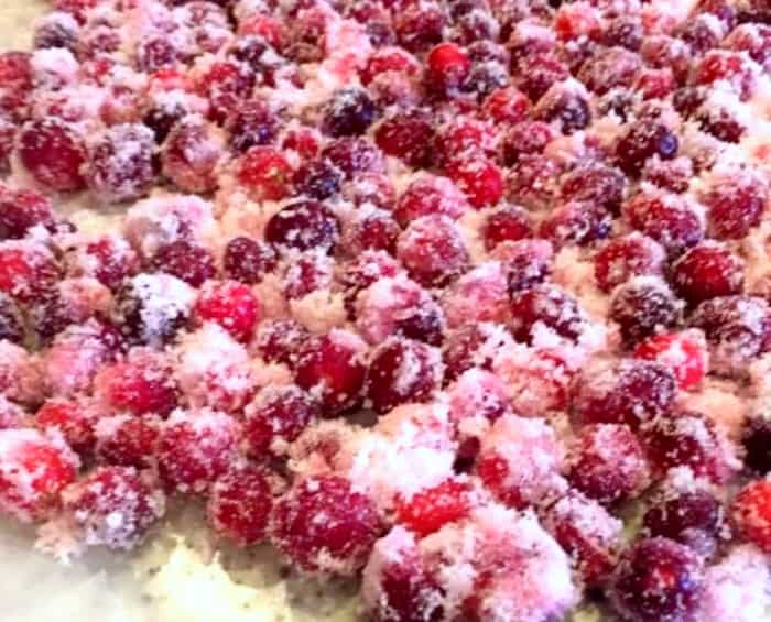 Simple Sugared Cranberries - easy sugar cranberries for drinks and mocktails for kids! sugared cranberries on a table