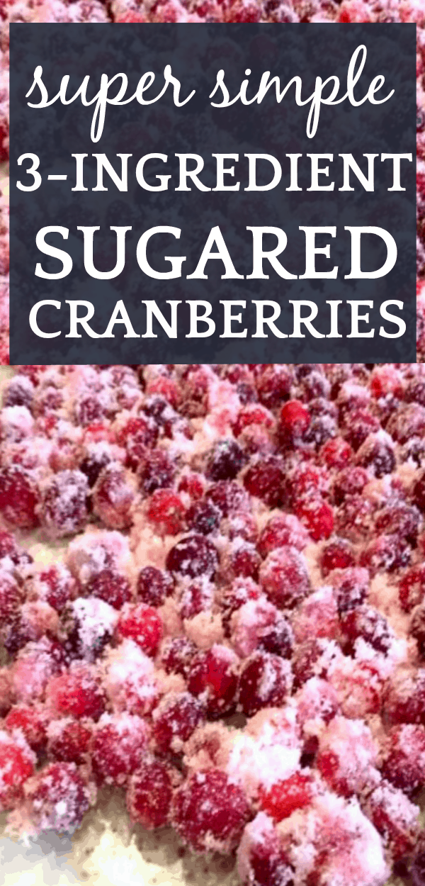 Super Simple Sugared Cranberries Recipe Want more cranberry recipe ideas? Try making sugared cranberries with your kids! Fun kids activities for the holidays!