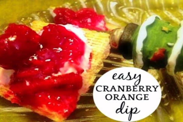Cranberry dip with cream cheese for an easy cranberry sauce appetizer! Christmas appetizer with a Christmas tree spoon