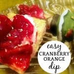 Cranberry dip with cream cheese for an easy cranberry sauce appetizer! (dip recipe for cream cheese with cranberry)