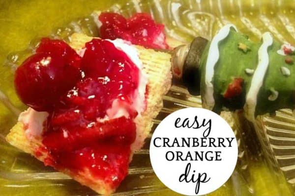 Easy Cranberry Cream Cheese Dip