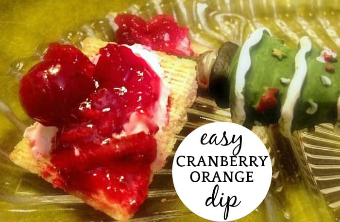 Cranberry dip with cream cheese for an easy cranberry sauce appetizer! (dip recipe for cream cheese with cranberry)