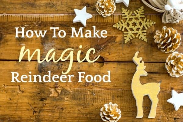 Recipe for Reindeer Food (Animal and Environment Friendly)