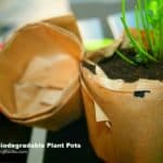 How To Make DIY Plant Pots