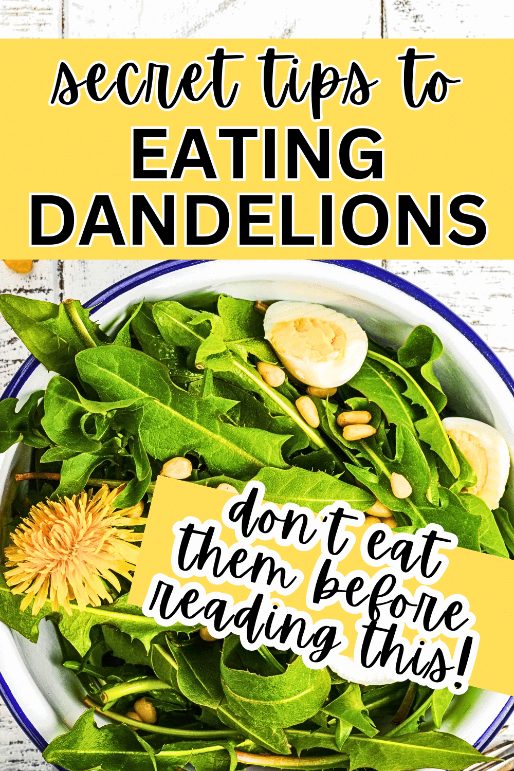 Green Dandelion Recipes text over a dandelions salad in a small bowl