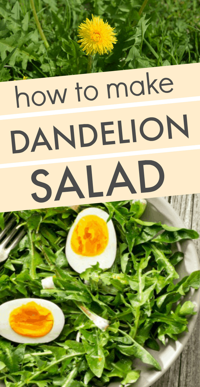 How To Make A Dandelion Salad dandelions salad on a table