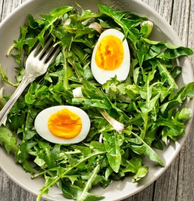 Dandelion Salad on a table