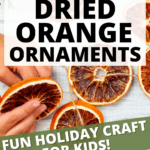 DIY Dried Orange Ornaments Tree Decorations