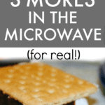 How To Make S'mores In The Microwave Easy