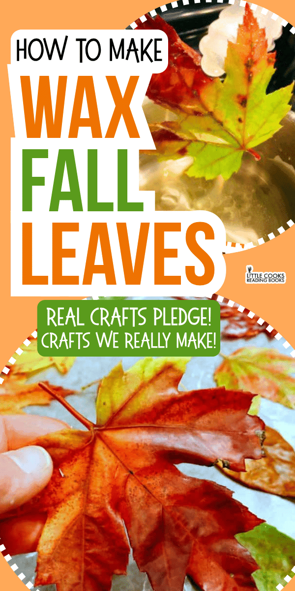 DIY Waxed Fall Leaves for Fall Crafts and Fall Decorations DIY Waxed Fall Leaves for Fall Crafts and Fall Decorations