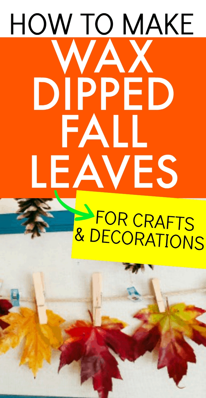 How To Preserve Leaves With Kids: Wax Leaves Craft ...