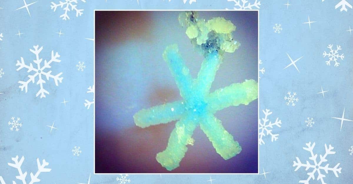 Crystal Borax Snowflake Craft For Kids To Make - snowflake from borax hanging on a background of blue and white snow flakes