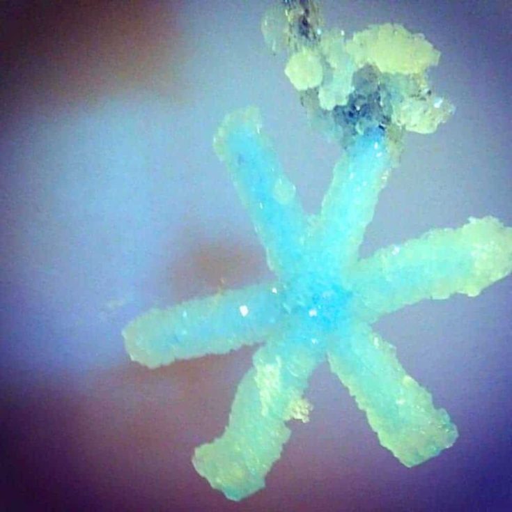Homemade DIY Borax Crystal Tutorial - close up of Growing Crystals At Home with Borax Detergent