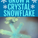 SNOWFLAKE CRAFT FOR KIDS TEXT OVER A CRYSTAL BLUE SNOWFLAKE