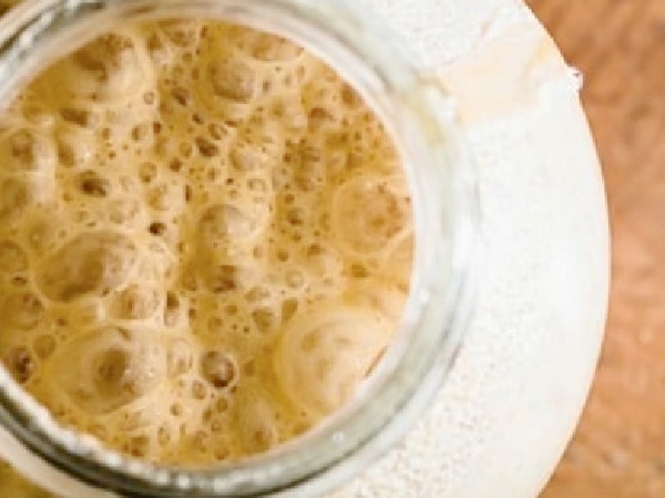 How to make yeast at home: kitchen science for kids