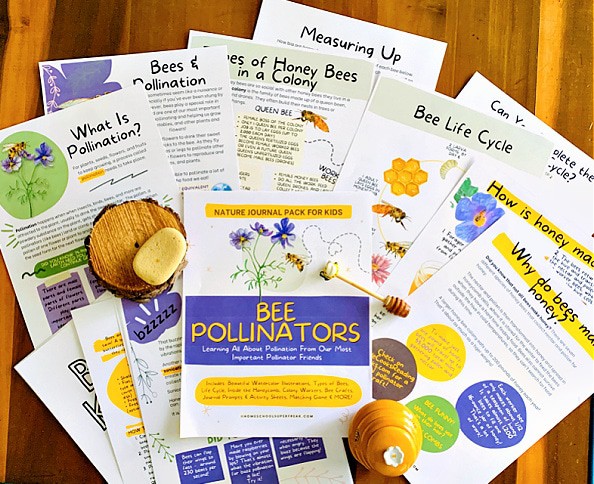 Bee Pollinator Printable Pack spread on a table