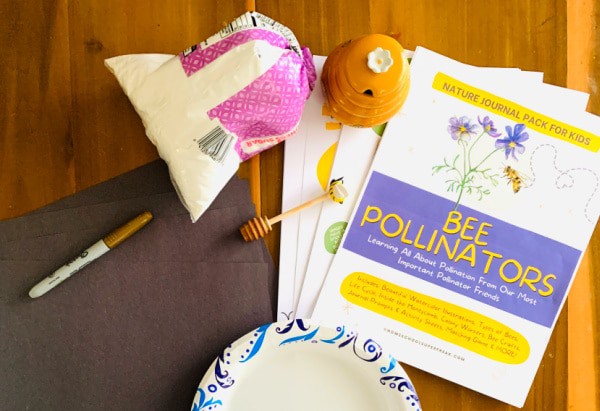 Pollinator Craft materials on a table