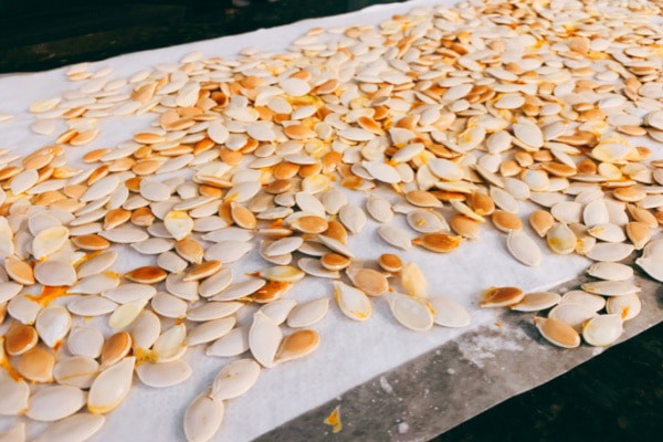 How To Dry Pumpkin Seeds To Eat fresh pumpkin seeds air drying on wax paper