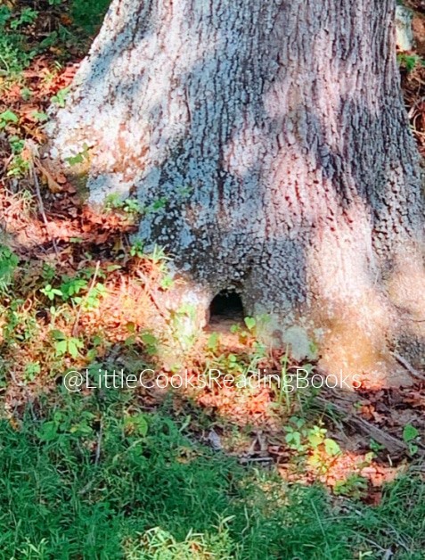 How To Introduce A Fairy Door