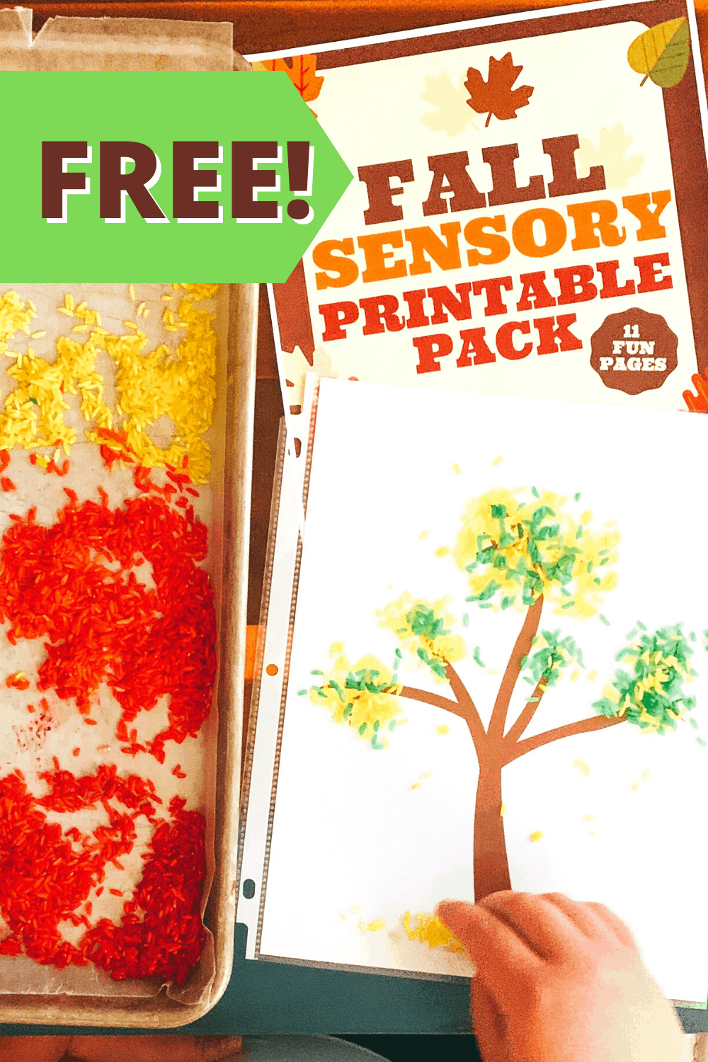 FALL SENSORY ACTIVITIES