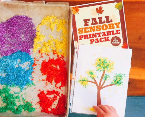 Fun Fall Sensory Activity