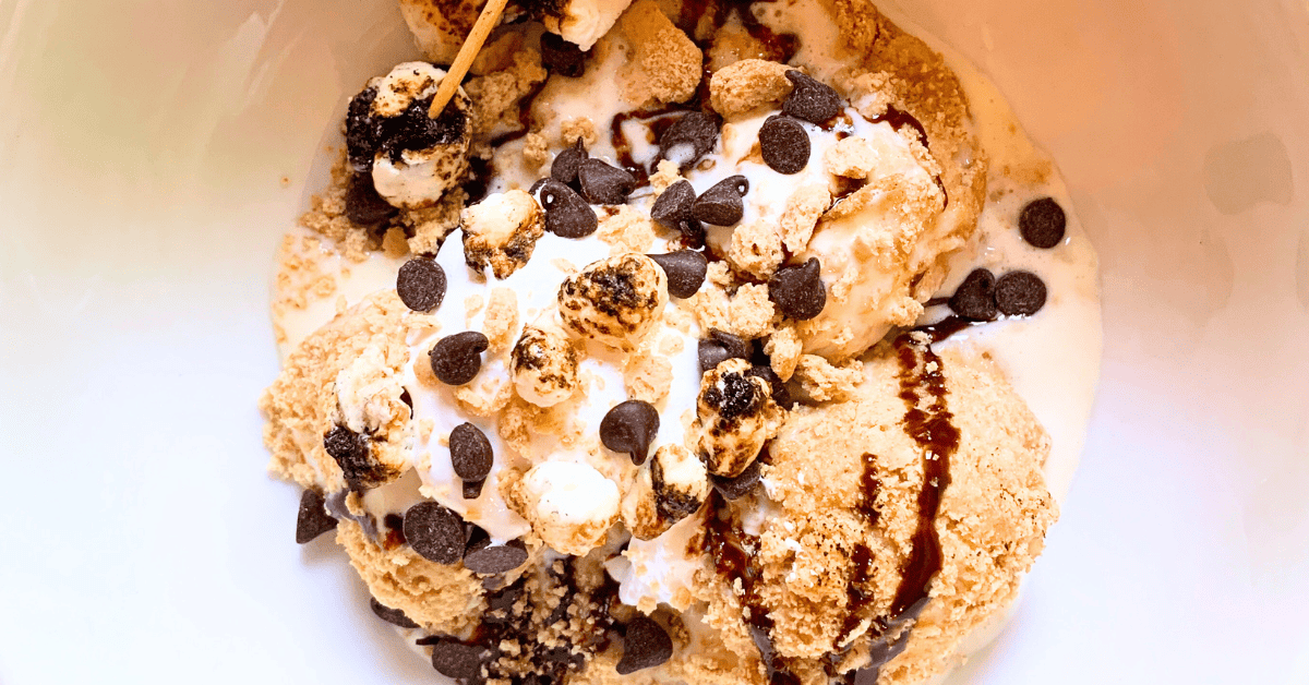 Homemade s'mores ice cream air fried (best s mores ice cream!) ice cream in a bowl view from top down of smore ice cream